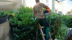 ПРЕОБРАЖЕНИЕ сильно ЗАБРОШЕННОГО двора