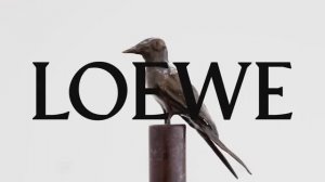 Показ женской коллекции Loewe весна-лето 2025