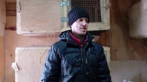 Моя ошибка при окроле крольчихи.