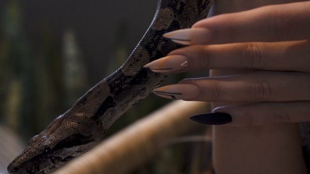 Студия THE PALM Lermontova смотреть онлайн