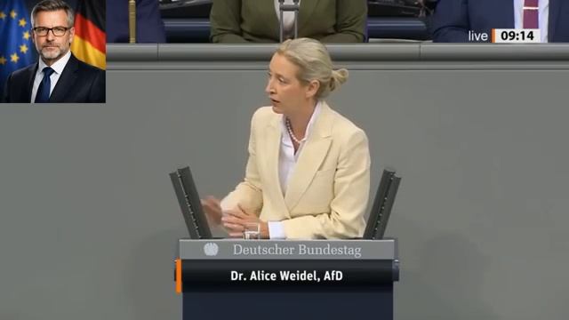 Речь Алисы Вайдель