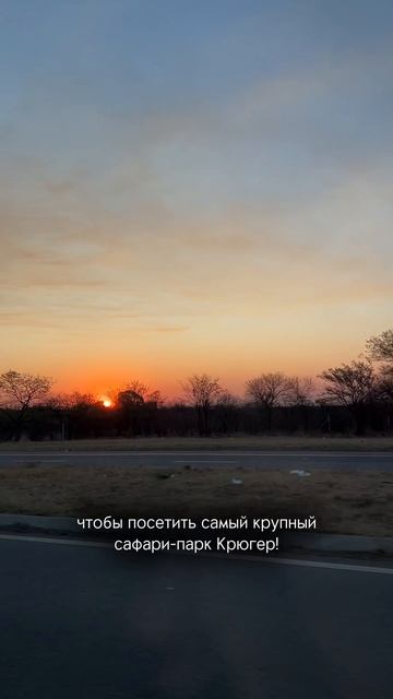 Следующая точка нашего самостоятельного автотрипа по Африке - саыари-парк Крюгер в ЮАР. Go в профиль смотреть онлайн