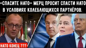 «НЕ ВЫХОДИТЕ ИЗ НАТО»: Мерц обращается с экстренным призывом на фоне роста напряженности между Европ