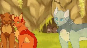 коты воители мап остролистая