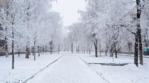 Опять МЕТЕТ, забудь о грусти, позволь себе быть счастливым