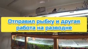 Отправил рыбку и другая работа на разводне