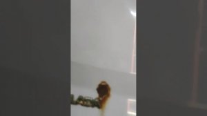 Проект лада ГРАНТА.