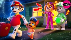 Щенячий патруль и Маршалл. Залипательное видео. Мультфильм для детей и малышей. Анимация 111