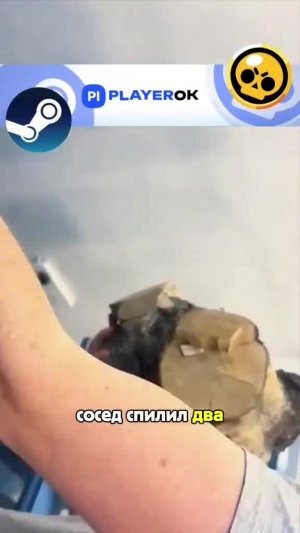 #истрия #реддит