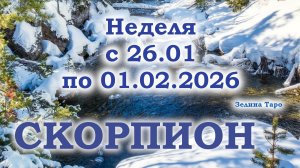 СКОРПИОН | ТАРО прогноз на неделю с 26 января по 1 февраля 2026 года