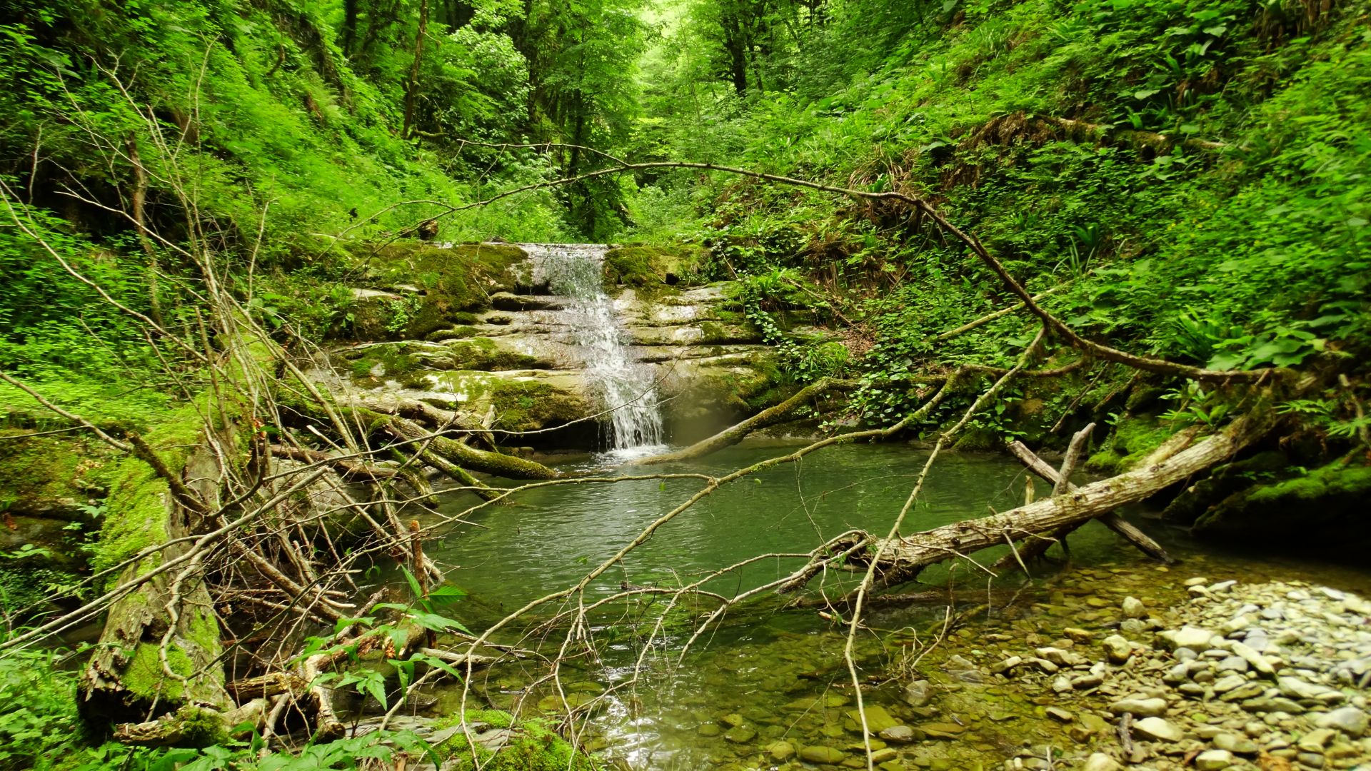 Отдых в диких лесах Сочи. Якорная щель. Река Хаджиек. смотреть онлайн