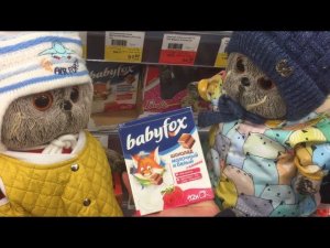 БАСИК и ПУХЛЯ в Ленте покупают много вкусняшек для Хозяйки / Семейка Басиков и Мисс Фаина