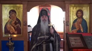 Смартфон и гиперсексуальность. Схиигумен ГАВРИИЛ (Виноградов-Лакербая) запись ПРОПОВЕДИ