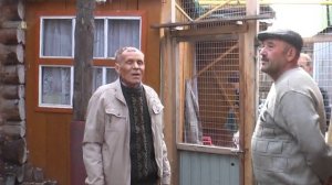 Голубеводы Дон А.А и Ивлев Е.А.