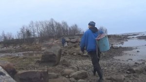 Идущий по воде! Как найти рыбную тропу в море Поставили сетки на рыбью тропу Белое море