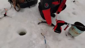 23.01.26 г. РК Волна.