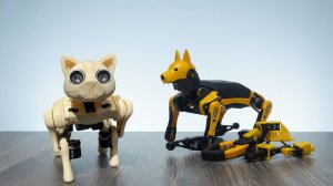Роботы для обучения программированию