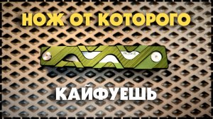 НЕ КАК У ВСЕХ / Складной Нож Ruike P878