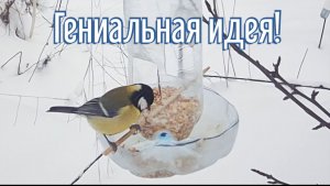 Почему я Раньше до этого не додумался, Как сделать Кормушку для птиц за 4 минуты!