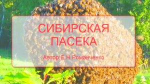 Зимовка 23.01.2026