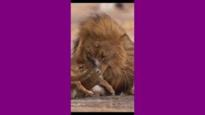 ОЧЕНЬ ЛЮБЛЮ ЭТО ВИДЕО