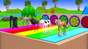 😹Милые мультяшные животные катаются на машинах и соревнуются между собой🔥