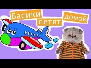 БАСИКИ летят домой в самолете, а не в чемодане. Завтра в школу / Семейка Басиков и Мисс Фаина