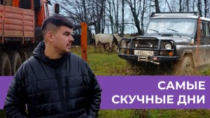 ПРИВЕЗЛИ СОЛЬ ЛОШАДЯМ | УАЗИК НЕ ПРОЕХАЛ | ДОМА ВСЕГДА ЛУЧШЕ