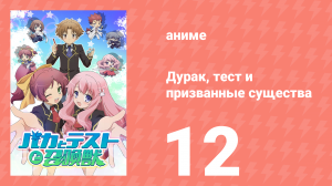 Дурак, тест и призванные существа 1 сезон 12 серия (аниме-сериал, 2010)
