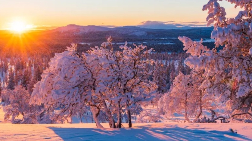 СП Добиваю недовязы 5/2026 Отчёт 4 с Мариной Стоговой смотреть онлайн