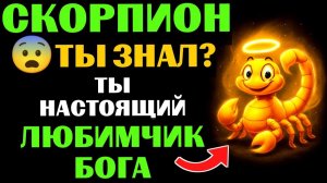 😇33 причины почему 🦂СКОРПИОН - поцелованный БОГОМ знак. 🔮ЗНАЧЕНИЕ знака зодиака СКОРПИОН.