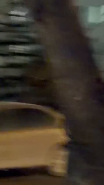 Слон сбежал из цирка и спокойно разгуливал по улицам Самары. Беглеца нашли и вернули смотреть онлайн