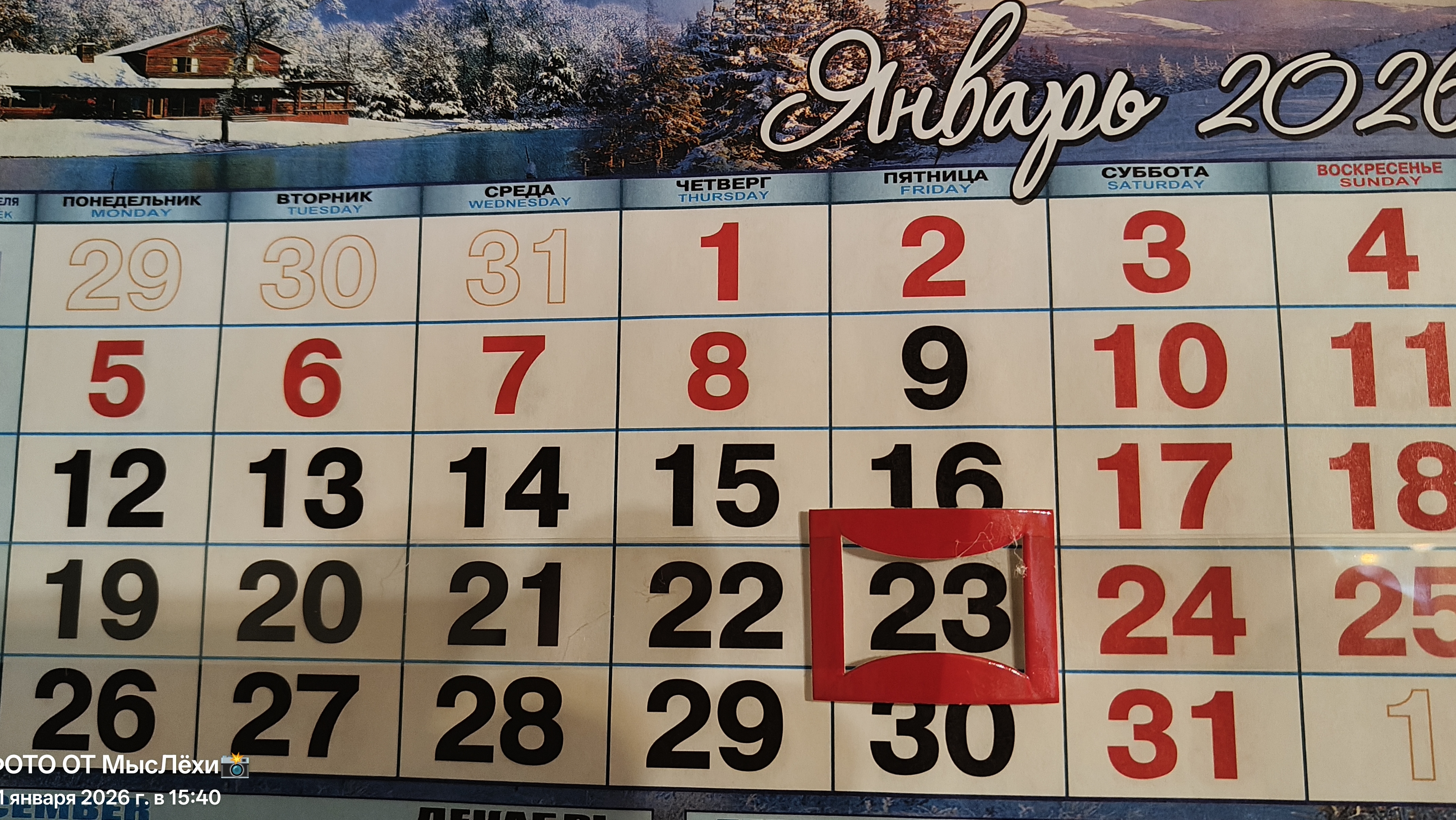 Человек — биологическое и общественное существо, но попадаются иногда и деревянные табуретки👌👌👌 смотреть онлайн