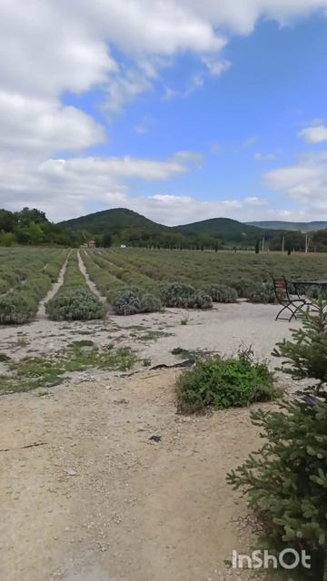 5.10.2022 Анапа