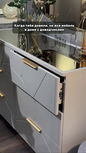 Когда тебя довели… но вся мебель в доме с доводчиками 😄