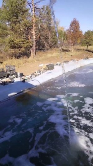 19 октября,пришли холода 😉