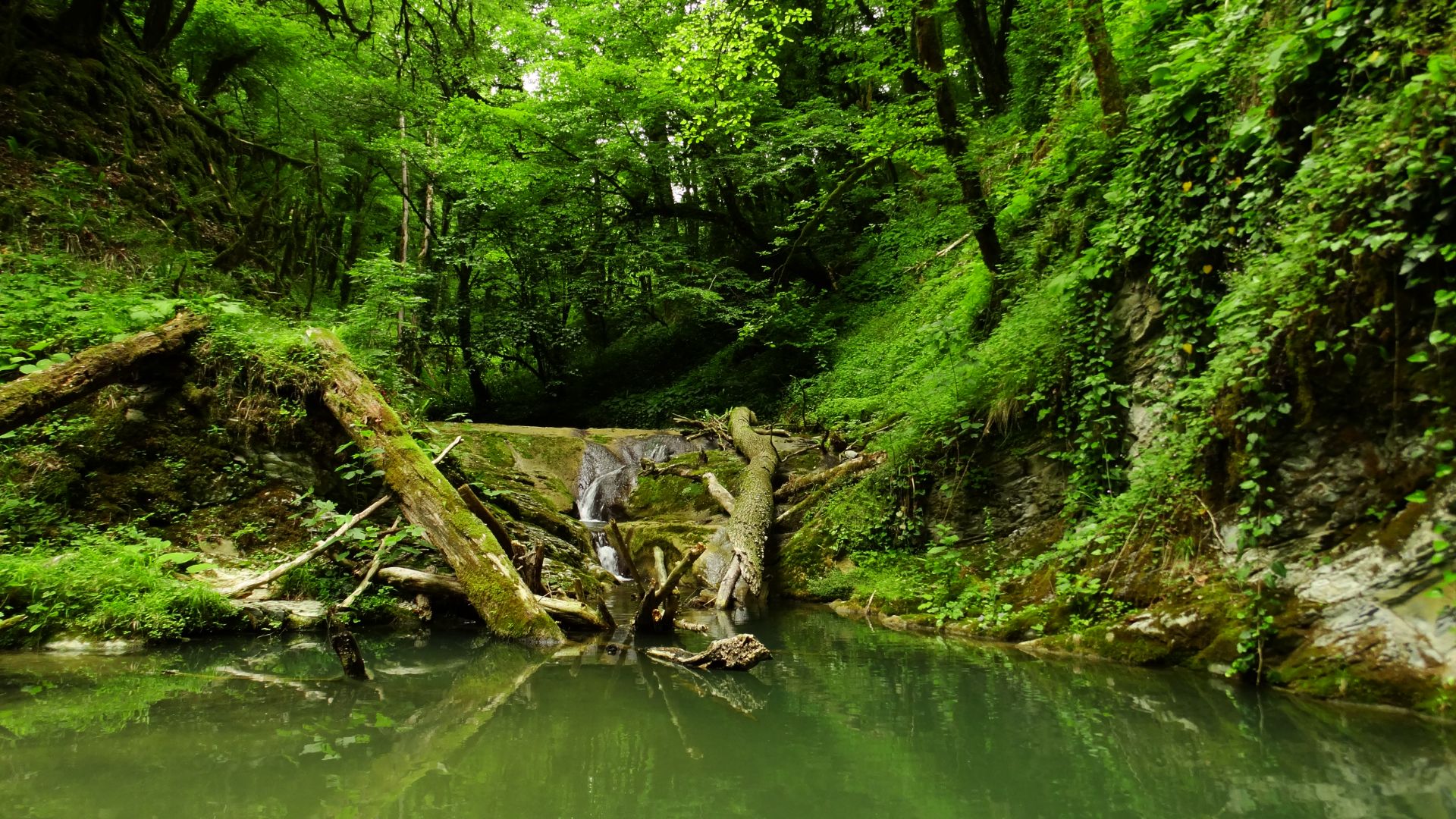 Поход в джунгли Сочи. Река Хаджиек. Вешенки и водопады. смотреть онлайн