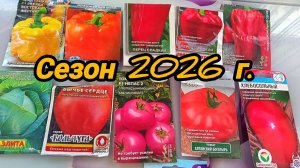 ЧТО БУДУ, А ЧТО НЕТ, САЖАТЬ В СЕЗОНЕ 2026г 🍅🫑🌶️