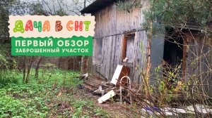 Дача в СНТ - первый обзор, старый заброшенный участок