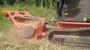 Мульчер AHWI Raptor 300 работает на ДКР под ЛЭП