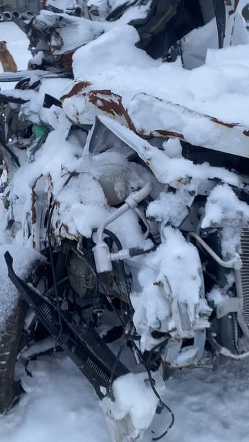 Тиго4Про23 51 смотреть онлайн