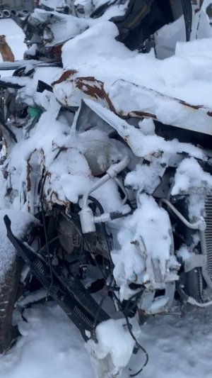 Тиго4Про23 51