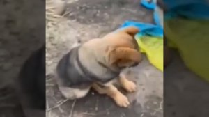 Утро Доброе Друзья