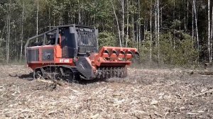 Мульчер AHWI RT 400.Уничтожение пней и корневищ без выкорчёвки.Заглубление на 150 мм