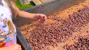 Настя и папа делают шоколад