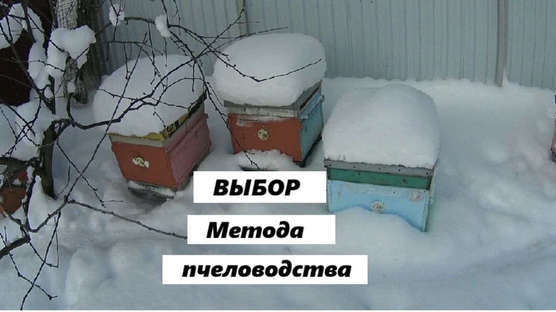 Выбор метода пчеловодства. смотреть онлайн