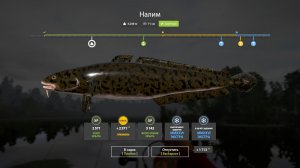 Русская Рыбалка 4-Новогодние Экстра Задания 2026: Налим не менее 3 кг, оз. Старый острог