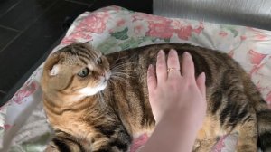 Булочки мамины🥰🥐🍞🍩