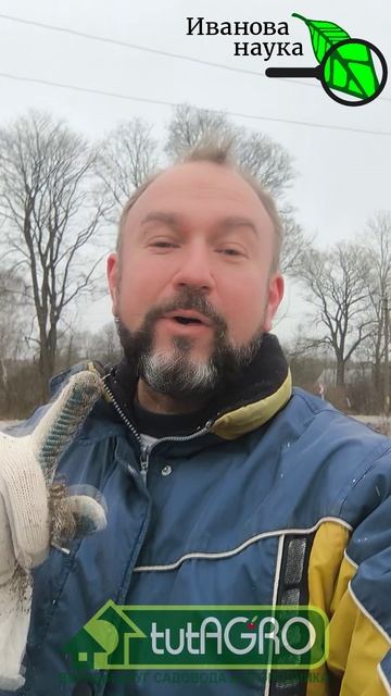 СУПЕР Грунт! Бесплатная земля для рассады. Забудьте о покупном грунте! Берем землю ЗДЕСЬ.