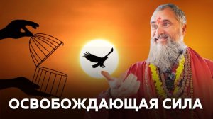 Ты уже Брахман - прими этот факт. Выработка личных качеств практикующего и освобождающая сила Дхармы